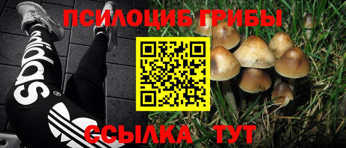 Галлюциногенные грибы MAGIC MUSHROOMS Обнинск
