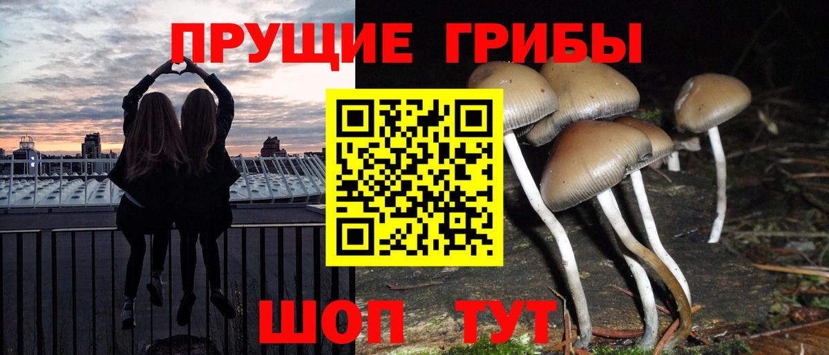 Обнинск  Псилоцибиновые грибы мухоморы  Вход с VPN  Галлюциногенные грибы Psilocybine cubensis 