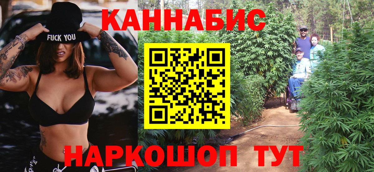 Канабис OG Kush Обнинск